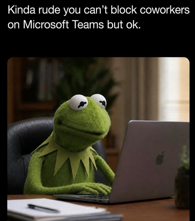 Kinda rude you can't block coworkers on Microsoft Teams but ok.