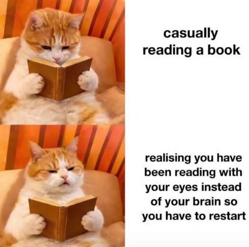 casually reading a book realising you have been reading with your eyes instead of your brain so you have to restart