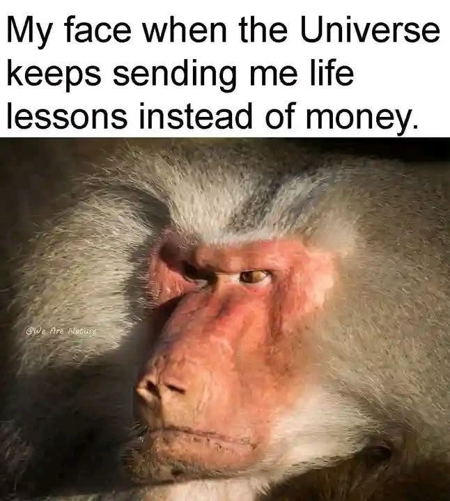 My face when the Universe keeps sending me life lessons instead of money. We Are Natur
