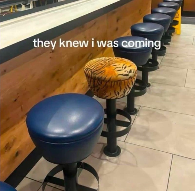 they knew i was coming