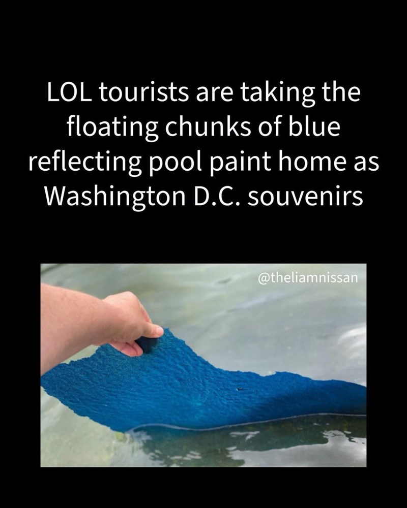 LOL tourists are taking the floating chunks of blue reflecting pool paint home as Washington D.C. souvenirs @theliamnissan