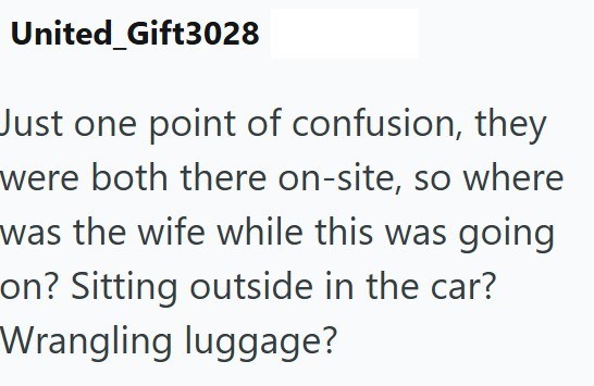 United_Gift3028 Just one point of confusion, they were both there on-site, so where was the wife while this was going on? Sitting outside in the car? Wrangling luggage?