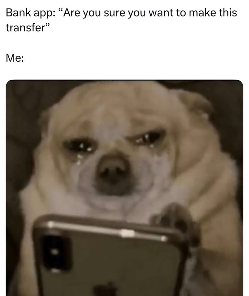 Bank app: "Are you sure you want to make this transfer" Me:
