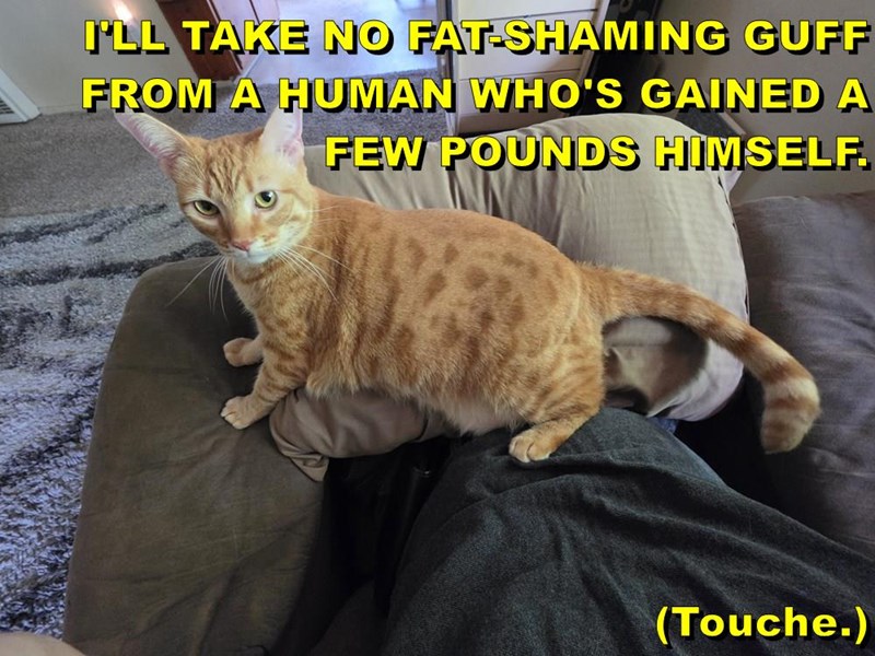 Cheezburger Image 10641596416