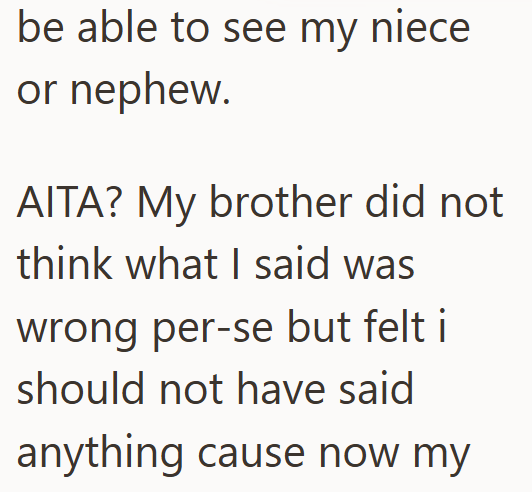 be able to see my niece or nephew. AITA? My brother did not think what I said was wrong per-se but felt i should not have said anything cause now my