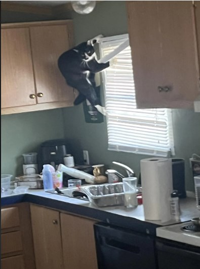 1010