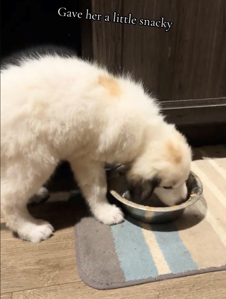Gave her a little snacky