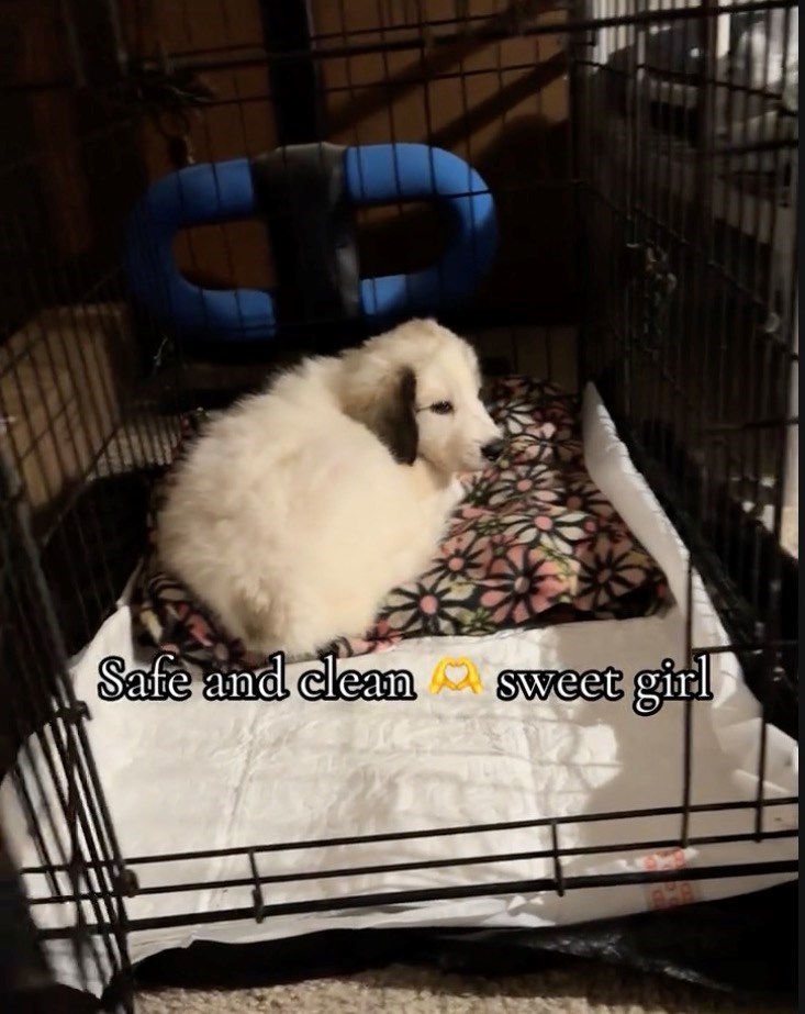 Safe and clean sweet girl