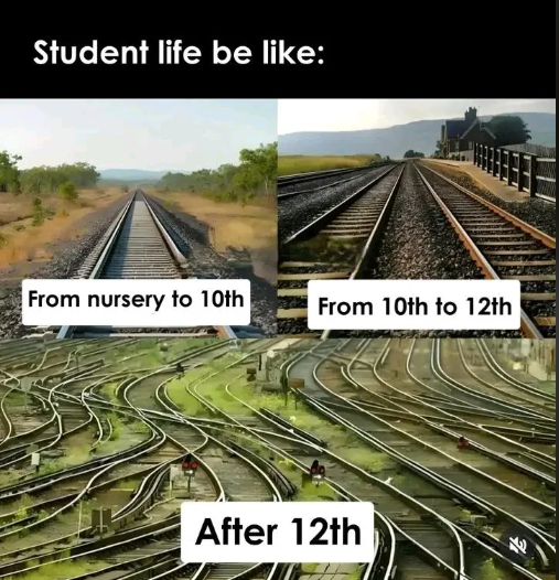 Student life be like: From nursery to 10th From 10th to 12th After 12th J