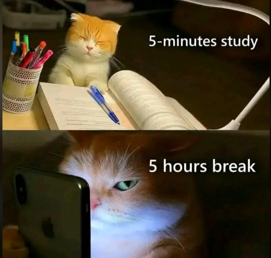 5-minutes study 5 hours break