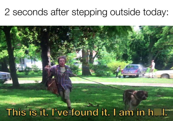 2 seconds after stepping outside today: standsinthememe This is it. I've found it. I am in hl