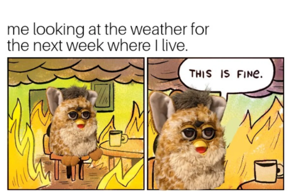 me looking at the weather for the next week where I live. THIS IS FINE.