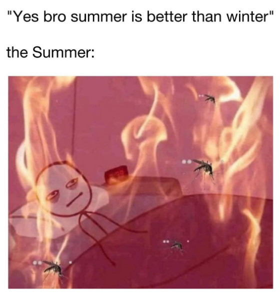 "Yes bro summer is better than winter" the Summer: