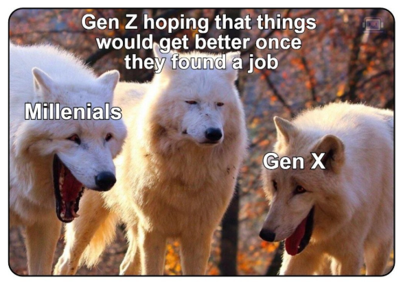 Gen Z hoping that things would get better once they found a job Millenials Gen X
