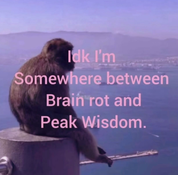 Idk I'm Somewhere between Brain rot and Peak Wisdom.