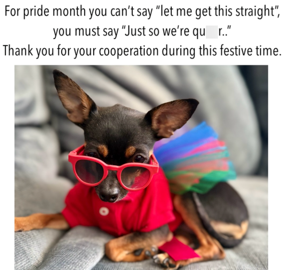 For pride month you can't say "let me get this straight", you must say "Just so we're qu_r.." Thank you for your cooperation during this festive time.