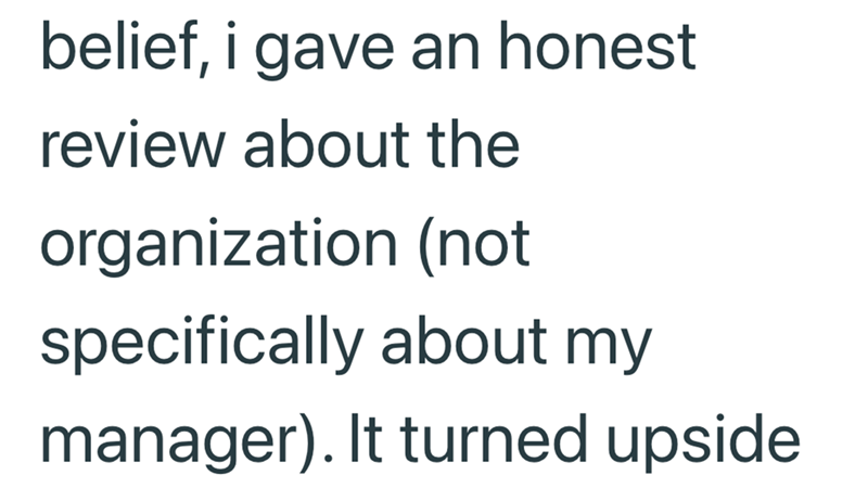 belief, i gave an honest review about the organization (not specifically about my manager). It turned upside