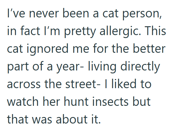 I've never been a cat person, in fact I'm pretty allergic. This cat ignored me for the better part of a year- living directly across the street- I liked to watch her hunt insects but that was about it.