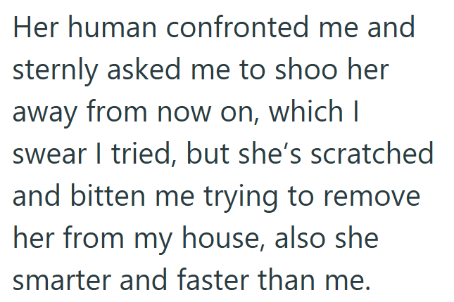 Her human confronted me and sternly asked me to shoo her away from now on, which I swear I tried, but she's scratched and bitten me trying to remove her from my house, also she smarter and faster than me.