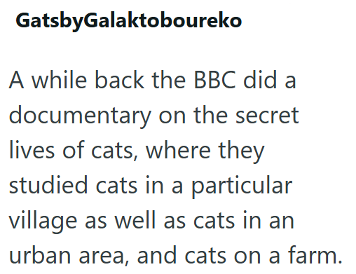 GatsbyGalaktoboureko A while back the BBC did a documentary on the secret lives of cats, where they studied cats in a particular village as well as cats in an urban area, and cats on a farm.