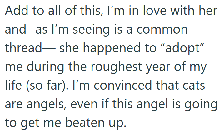 Add to all of this, I'm in love with her and- as I'm seeing is a common thread she happened to "adopt" me during the roughest year of my life (so far). I'm convinced that cats are angels, even if this angel is going to get me beaten up.