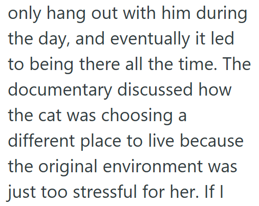 only hang out with him during the day, and eventually it led to being there all the time. The documentary discussed how the cat was choosing a different place to live because the original environment was just too stressful for her. If I