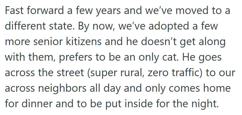 Fast forward a few years and we've moved to a different state. By now, we've adopted a few more senior kitizens and he doesn't get along with them, prefers to be an only cat. He goes across the street (super rural, zero traffic) to our across neighbors all day and only comes home for dinner and to be put inside for the night.