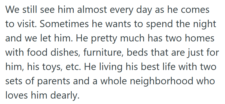 We still see him almost every day as he comes to visit. Sometimes he wants to spend the night and we let him. He pretty much has two homes with food dishes, furniture, beds that are just for him, his toys, etc. He living his best life with two sets of parents and a whole neighborhood who loves him dearly.