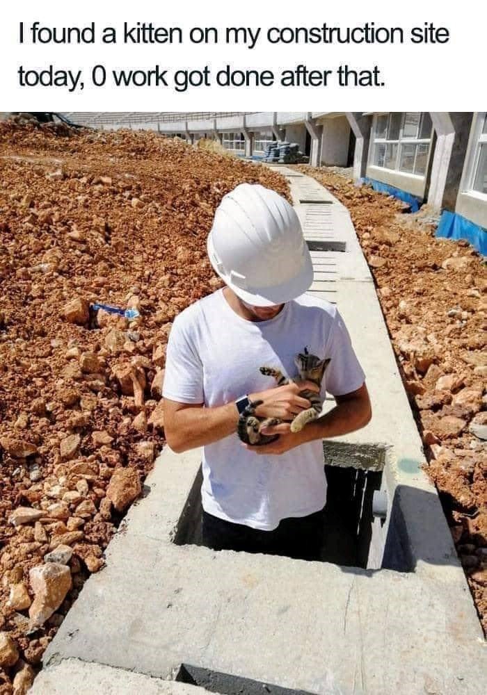 I found a kitten on my construction site today, 0 work got done after that.