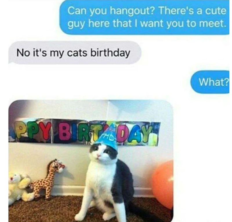 Can you hangout? There's a cute guy here that I want you to meet. No it's my cats birthday PPY BIRTHDAY What?