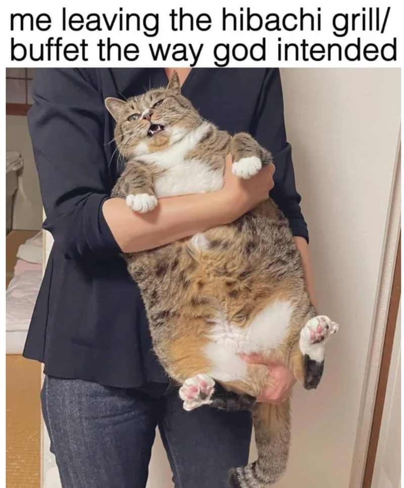 me leaving the hibachi grill/ buffet the way god intended