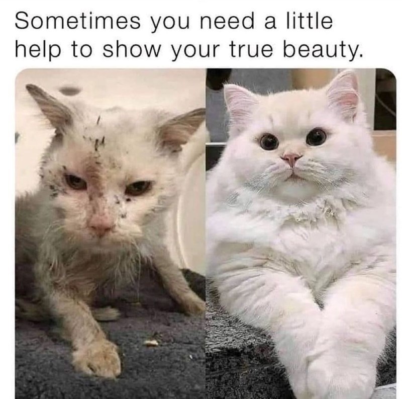Sometimes you need a little help to show your true beauty.