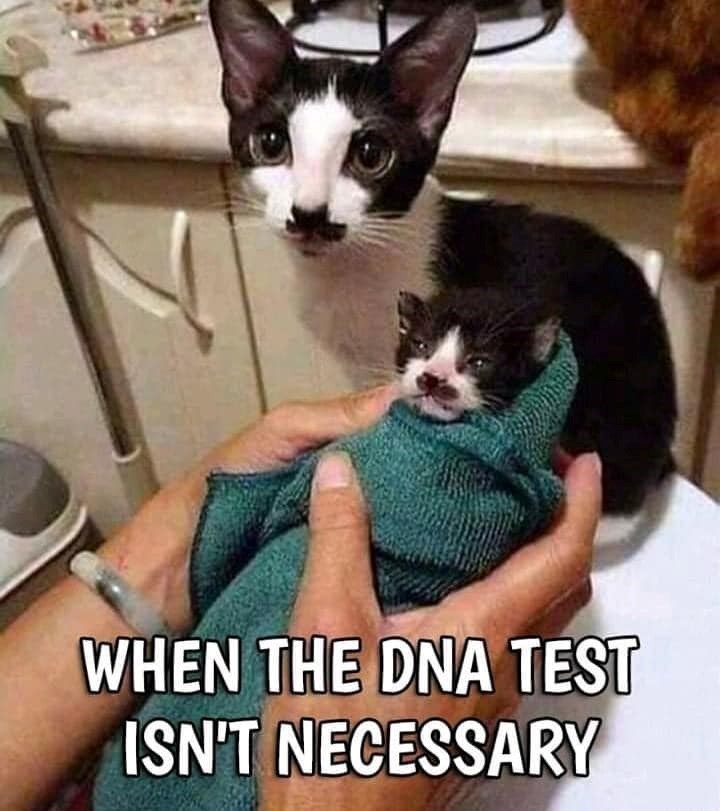 WHEN THE DNA TEST ISN'T NECESSARY