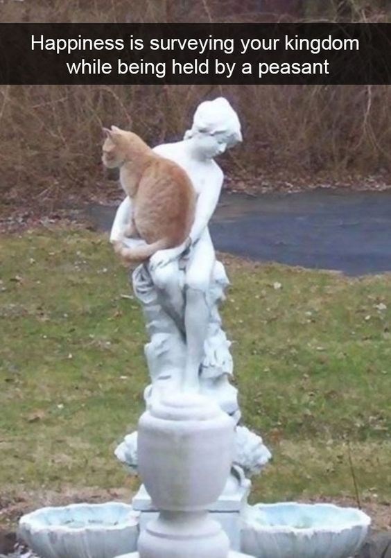 Happiness is surveying your kingdom while being held by a peasant