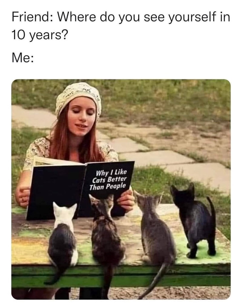 Friend: Where do you see yourself in 10 years? Me: Why I Like Cats Better Than People