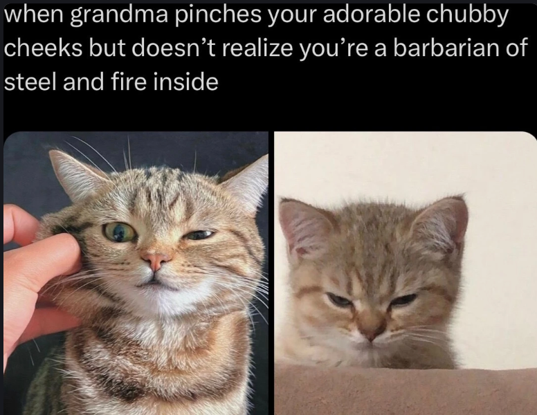 when grandma pinches your adorable chubby cheeks but doesn't realize you're a barbarian of steel and fire inside