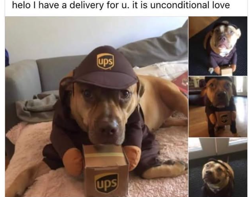 helo I have a delivery for u. it is unconditional love ups ups ups