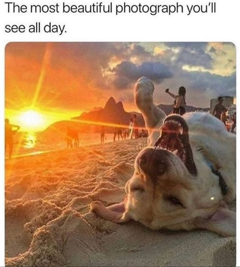 The most beautiful photograph you'll see all day.