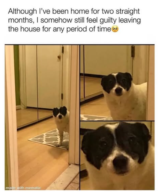 Although I've been home for two straight months, I somehow still feel guilty leaving the house for any period of time made with mematic