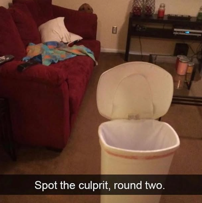 Spot the culprit, round two.