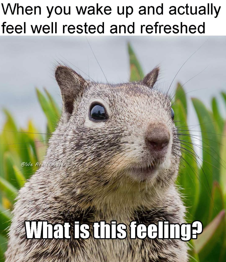 When you wake up and actually feel well rested and refreshed @We Are Nature What is this feeling?