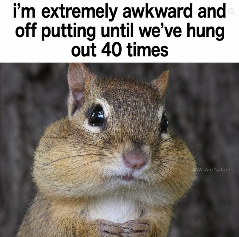 i'm extremely awkward and off putting until we've hung out 40 times @We Are Nature