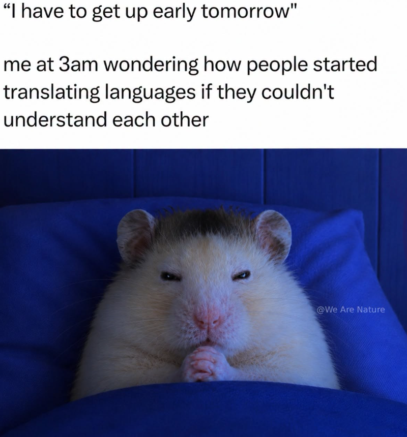 "I have to get up early tomorrow" me at 3am wondering how people started translating languages if they couldn't understand each other @We Are Nature
