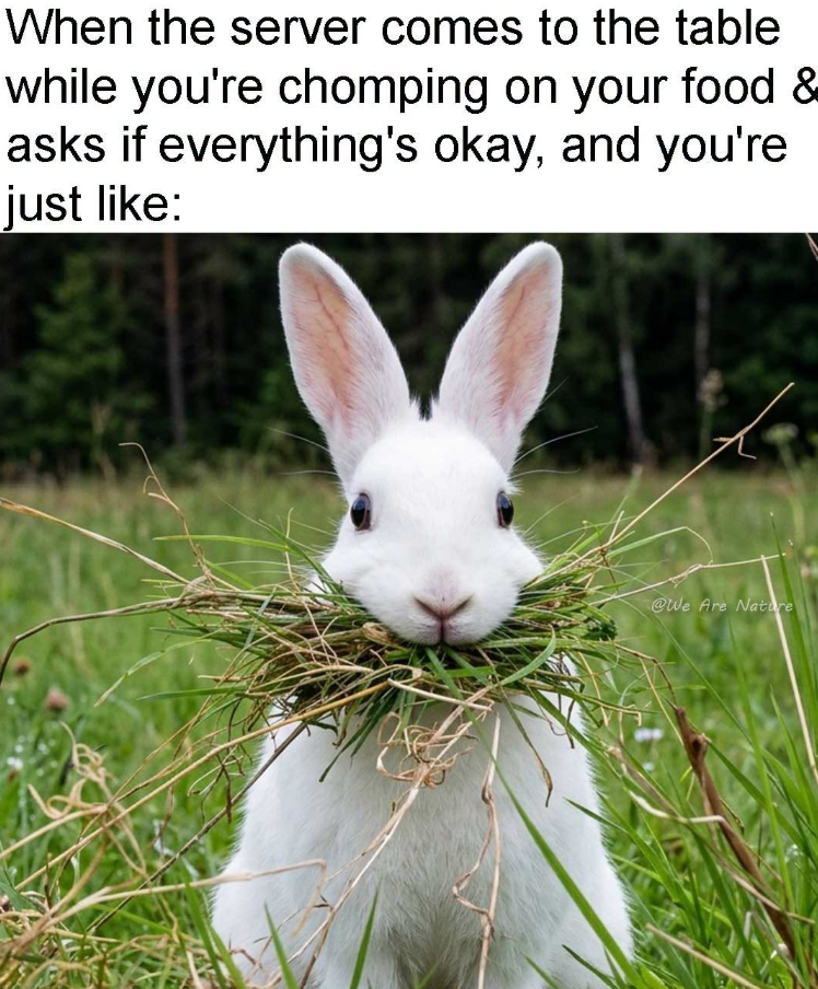 When the server comes to the table while you're chomping on your food & asks if everything's okay, and you're just like: @We Are Nature