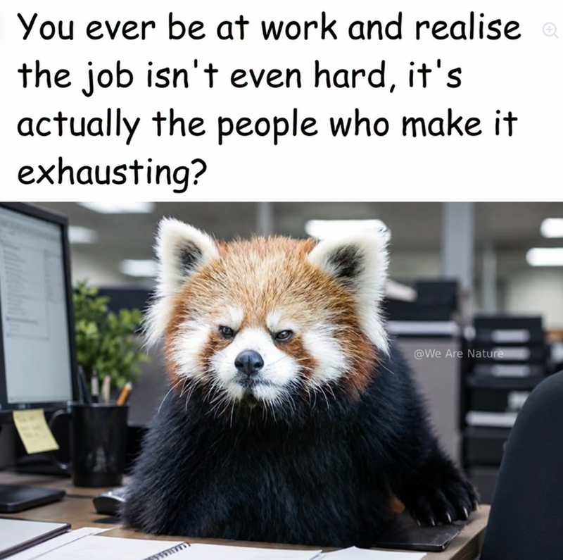 You ever be at work and realise the job isn't even hard, it's actually the people who make it exhausting? @We Are Nature