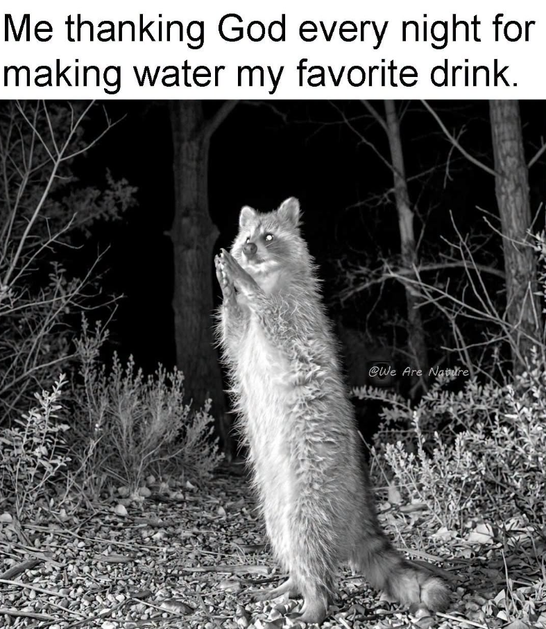 Me thanking God every night for making water my favorite drink. @We Are Nature