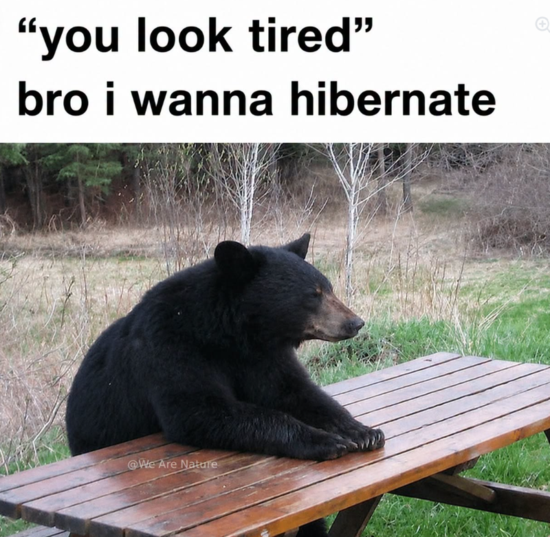 "you look tired" bro i wanna hibernate @We Are Nature