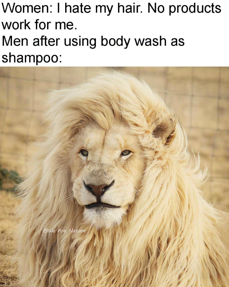 Women: I hate my hair. No products work for me. Men after using body wash as shampoo: We Are Nature