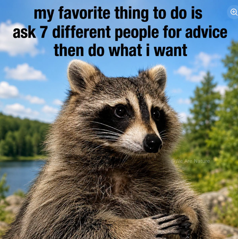 my favorite thing to do is ask 7 different people for advice then do what i want We Are Nature +
