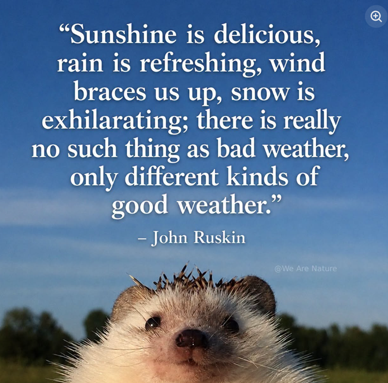 "Sunshine is delicious, rain is refreshing, wind braces us up, snow is exhilarating; there is really no such thing as bad weather, only different kinds of good weather." - John Ruskin @We Are Nature